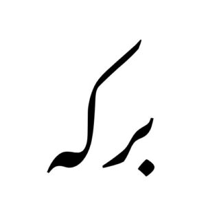 لوگو برکه