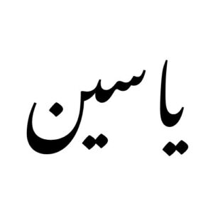 لوگو یاسین
