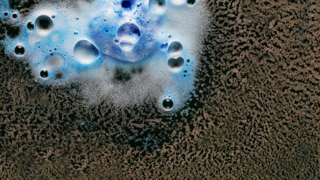 فرشهای شستهشده در سالن قالیشویی صنعتی در حال خشک شدن با جریان هوای مناسب